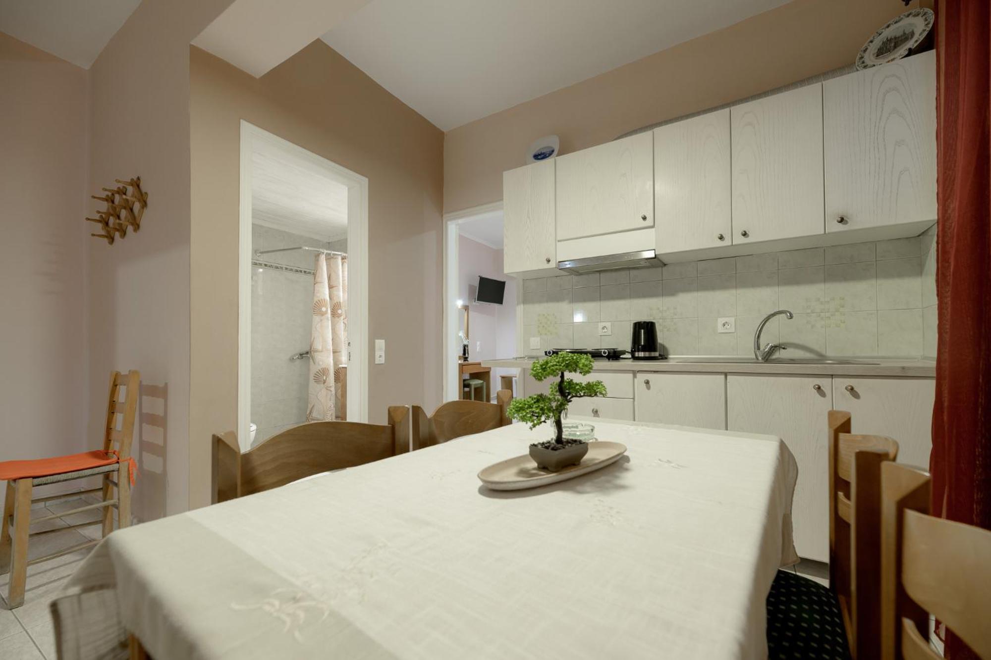 Anthi Studios & Apartments Alykes  Extérieur photo